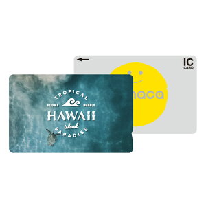 ICJ[hXebJ[ ICJ[hV[ XCJ Suica PASMO pX ICOCA TOICA Edy nanaco manaca ʌnJ[hXebJ[ ډB ZLeB 썑 nC r[` C z [Ă TZbg TCY 