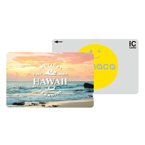 ICJ[hXebJ[ ICJ[hV[ XCJ Suica PASMO pX ICOCA TOICA Edy nanaco manaca ʌnJ[hXebJ[ ډB ZLeB 썑 nC r[` C z [Ă TZbg TCY 