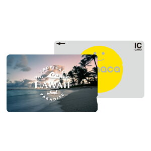 ICJ[hXebJ[ ICJ[hV[ XCJ Suica PASMO pX ICOCA TOICA Edy nanaco manaca ʌnJ[hXebJ[ ډB ZLeB 썑 nC r[` C z [Ă TZbg TCY 