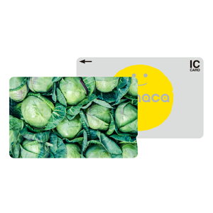 ICJ[hXebJ[ ICJ[hV[ XCJ Suica PASMO pX ICOCA TOICA Edy nanaco manaca ʌnJ[hXebJ[ ډB ZLeB t[c ʕ   ₳  Ղ ʐ^ 