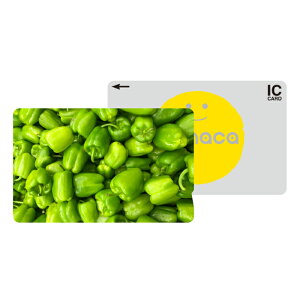 _30%OFFN[|zz^ ICJ[hXebJ[ ICJ[hV[ XCJ Suica PASMO pX ICOCA TOICA Edy nanaco manaca ʌnJ[hXebJ[ ډB ZLeB t[c ʕ   ₳ 