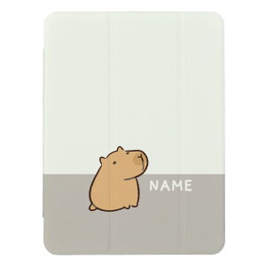  O CjV  IWi ipadP[X iPad S@Ή ACpbhP[X P[X  I[_[Ch v[g Mtg lC 10 9 8 7 mini air pr