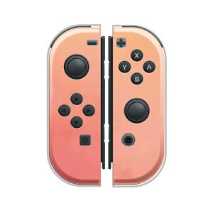 30%N[|ubNtCf[ Nintendo Switch Nintendo Switch2 L@ELf switch switch2 P[X CV XCb` XCb`2   O l[ a NX}X WCR P[