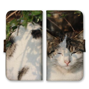 Google PixelP[X O[OsNZP[X Google Pixel10Pro XL Google Pixel10Pro 9a 9Pro XL 8a O[OsNZ10 X}zP[X 蒠^ X}zJo[ L glR VL lR qL ˂ ʐ^  