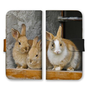 Google PixelP[X O[OsNZP[X Google Pixel10Pro XL Google Pixel10Pro 9a 9Pro XL 8a O[OsNZ10 X}zP[X 蒠^ X}zJo[ ETM e  qe lU[hh[t ʐ^ 