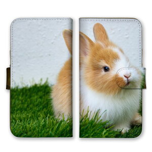 �_30%�I�t�����N�[�|���z�z�^ Galaxy A7 SM-A750C �P�[�X �J�o�[ �M�����N�V�[ A7 �X�}�z�P�[�X �蒠�^�P�[�X �E�T�M �e ������ �q�e �l�U�[�����h�h���[�t �ʐ^ ���� ���R �삤���� �X�}�z�J�o�[