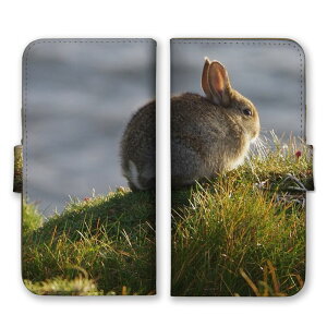 arrowsP[X A[YP[X arrows Alpha F-51F We2 F-52E M07 We2 Plus F-51E M06 A[Y Jo[ 蒠^P[X gуP[X X}zP[X X}zJo[ ETM e  qe lU[hh[t ʐ^ 