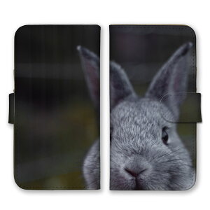 arrowsP[X A[YP[X arrows Alpha F-51F We2 F-52E M07 We2 Plus F-51E M06 A[Y Jo[ 蒠^P[X gуP[X X}zP[X X}zJo[ ETM e  qe lU[hh[t ʐ^ 