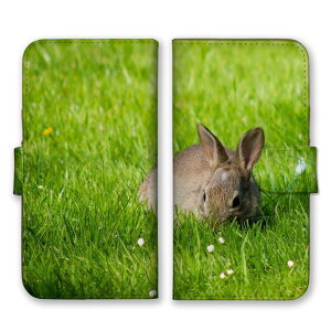 30%N[|ubNtCf[ arrowsP[X A[YP[X arrows Alpha F-51F We2 F-52E M07 We2 Plus F-51E M06 A[Y Jo[ 蒠^P[X gуP[X X}zP[X X}zJo[ ETM e 