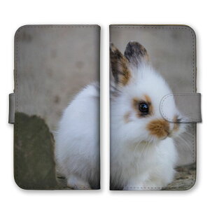 arrowsP[X A[YP[X arrows Alpha F-51F We2 F-52E M07 We2 Plus F-51E M06 A[Y Jo[ 蒠^P[X gуP[X X}zP[X X}zJo[ ETM e  qe lU[hh[t ʐ^ 