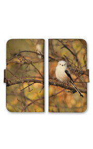 OPPO A73 A73 �P�[�X �J�o�[ �I�b�| A73 �X�}�z�P�[�X �蒠�^�P�[�X �V�}�G�i�K �G�i�K �� ���� ���킢�� �ʐ^ �X�̗d�� ���� �쒹 �v�`�v�� �|�b�L�� �X�}�z�J�o�[ �g�уP�[�X �g�уJ�o�[