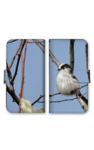 OPPO A73 A73 �P�[�X �J�o�[ �I�b�| A73 �X�}�z�P�[�X �蒠�^�P�[�X �V�}�G�i�K �G�i�K �� ���� ���킢�� �ʐ^ �X�̗d�� ���� �쒹 �v�`�v�� �|�b�L�� �X�}�z�J�o�[ �g�уP�[�X �g�уJ�o�[