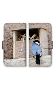 �_30%�I�t�����N�[�|���z�z�^ Google Pixel 10 Pro XL �P�[�X �J�o�[ �O�[�O���s�N�Z��10 Pro XL �X�}�z�P�[�X �蒠�^�P�[�X �C���R ���� ������ �Z�L�Z�C�C���R �� ������ ���� ���킢�� �ʐ^ ���D