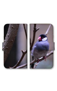 30%N[|ubNtCf[ arrowsP[X A[YP[X arrows Alpha F-51F We2 F-52E M07 We2 Plus F-51E M06 A[Y Jo[ 蒠^P[X gуP[X X}zP[X X}zJo[ CR 