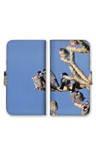 30%N[|ubNtCf[ arrowsP[X A[YP[X arrows Alpha F-51F We2 F-52E M07 We2 Plus F-51E M06 A[Y Jo[ 蒠^P[X gуP[X X}zP[X X}zJo[ CR 