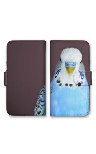 AQUOS�P�[�X �A�N�I�X�P�[�X AQUOS wish5 SH-52F R10 wish4 sense10 �P�[�X �A�N�I�Xwish5 �A�N�I�X�Z���XR10 + �v���X �X�}�z�P�[�X �蒠�^�P�[�X �C���R ���� ������ �Z�L�Z�C�C���R �� ������ ���� ����