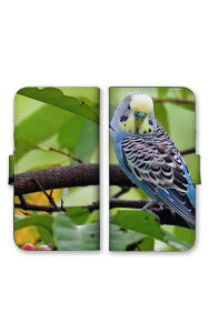 arrowsP[X A[YP[X arrows Alpha F-51F We2 F-52E M07 We2 Plus F-51E M06 A[Y Jo[ 蒠^P[X gуP[X X}zP[X X}zJo[ CR     킢 ʐ^ D