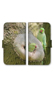 _30%OFFN[|zz^ Google PixelP[X O[OsNZP[X Google Pixel10Pro XL Google Pixel10Pro 9a 9Pro XL 8a O[OsNZ10 X}zP[X 蒠^ X}zJo[ CR   ZLZC