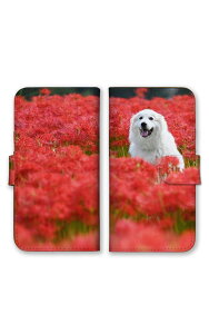 AQUOS sense5G SH-53A SHG03 SH-M17 �P�[�X �J�o�[ �A�N�I�X �X�}�z�P�[�X �蒠�^�P�[�X �� �_�b�N�X�t���g �|�����j�A�� ���u���h�[�� �S�[���f�����g���o�[ ���킢�� �ʐ^ �v�`�v�� �X�}�z�J�o�[ �g