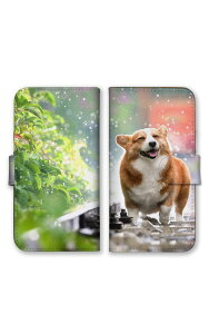 iPhone 13 Pro Max iPhone13ProMax �P�[�X �J�o�[ �v���}�b�N�X �X�}�z�P�[�X �蒠�^�P�[�X �� �_�b�N�X�t���g �|�����j�A�� ���u���h�[�� �S�[���f�����g���o�[ ���킢�� �ʐ^ �v�`�v�� �X�}�z�J�o�[