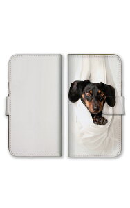 AQUOS sense5G SH-53A SHG03 SH-M17 �P�[�X �J�o�[ �A�N�I�X �X�}�z�P�[�X �蒠�^�P�[�X �� �_�b�N�X�t���g �|�����j�A�� ���u���h�[�� �S�[���f�����g���o�[ ���킢�� �ʐ^ �v�`�v�� �X�}�z�J�o�[ �g