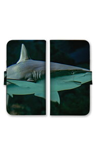 arrowsP[X A[YP[X arrows Alpha F-51F We2 F-52E M07 We2 Plus F-51E M06 A[Y Jo[ 蒠^P[X gуP[X X}zP[X X}zJo[ T L C  | ʐ^ u[ lCr[ 