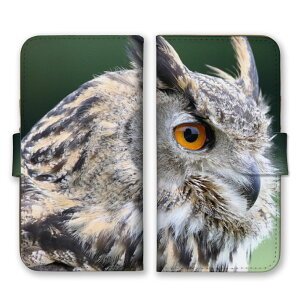 arrowsP[X A[YP[X arrows Alpha F-51F We2 F-52E M07 We2 Plus F-51E M06 A[Y Jo[ 蒠^P[X gуP[X X}zP[X X}zJo[ tNE   bird V}tNE VtNE 