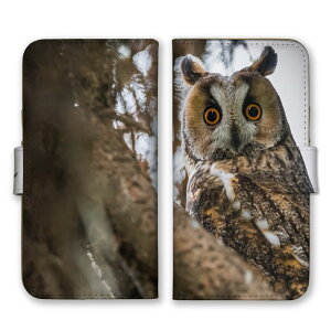 arrowsP[X A[YP[X arrows Alpha F-51F We2 F-52E M07 We2 Plus F-51E M06 A[Y Jo[ 蒠^P[X gуP[X X}zP[X X}zJo[ tNE   bird V}tNE VtNE 