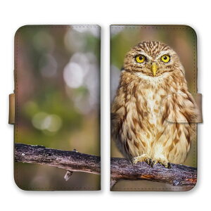 Google PixelP[X O[OsNZP[X Google Pixel10Pro XL Google Pixel10Pro 9a 9Pro XL 8a O[OsNZ10 X}zP[X 蒠^ X}zJo[ tNE  ݂݂ ~~YN V}tNE Vt