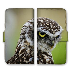 30%N[|ubNtCf[ arrowsP[X A[YP[X arrows Alpha F-51F We2 F-52E M07 We2 Plus F-51E M06 A[Y Jo[ 蒠^P[X gуP[X X}zP[X X}zJo[ tNE 