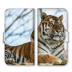 �_30%�I�t�����N�[�|���z�z�^ iPhone 15 plus iPhone15plus �P�[�X �J�o�[ �A�C�t�H��15�v���X �X�}�z�P�[�X �蒠�^�P�[�X �� �g�� �^�C�K�[ �z���C�g�^�C�K�[ ���������� �J�b�R�C�C ���� �A�j�}�� 