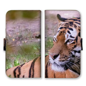 iPhone 15 plus iPhone15plus �P�[�X �J�o�[ �A�C�t�H��15�v���X �X�}�z�P�[�X �蒠�^�P�[�X �� �g�� �^�C�K�[ �z���C�g�^�C�K�[ ���������� �J�b�R�C�C ���� �A�j�}�� �ʐ^ �v�`�v�� �X�}�z�J�o�[ �g