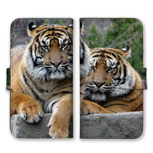 �_30%�I�t�����N�[�|���z�z�^ iPhone 15 plus iPhone15plus �P�[�X �J�o�[ �A�C�t�H��15�v���X �X�}�z�P�[�X �蒠�^�P�[�X �� �g�� �^�C�K�[ �z���C�g�^�C�K�[ ���������� �J�b�R�C�C ���� �A�j�}�� 