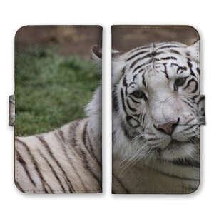 iPhone 15 plus iPhone15plus �P�[�X �J�o�[ �A�C�t�H��15�v���X �X�}�z�P�[�X �蒠�^�P�[�X �� �g�� �^�C�K�[ �z���C�g�^�C�K�[ ���������� �J�b�R�C�C ���� �A�j�}�� �ʐ^ �v�`�v�� �X�}�z�J�o�[ �g