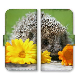 arrowsP[X A[YP[X arrows Alpha F-51F We2 F-52E M07 We2 Plus F-51E M06 A[Y Jo[ 蒠^P[X gуP[X X}zP[X X}zJo[ nlY~ ͂˂  Aj} ɂ܂ 