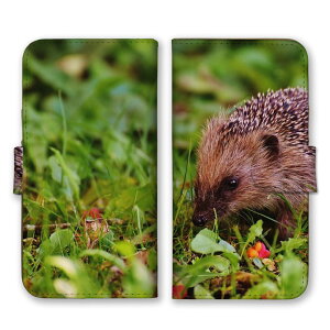 arrowsP[X A[YP[X arrows Alpha F-51F We2 F-52E M07 We2 Plus F-51E M06 A[Y Jo[ 蒠^P[X gуP[X X}zP[X X}zJo[ nlY~ ͂˂  Aj} ɂ܂ 