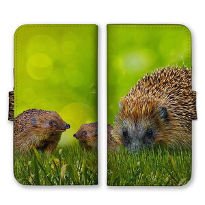 arrowsP[X A[YP[X arrows Alpha F-51F We2 F-52E M07 We2 Plus F-51E M06 A[Y Jo[ 蒠^P[X gуP[X X}zP[X X}zJo[ nlY~ ͂˂  Aj} ɂ܂ 