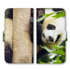HUAWEI nova lite 3+ nova lite3+ �P�[�X �J�o�[ �t�@�[�E�F�C�m�o���C�g3+ �X�}�z�P�[�X �蒠�^�P�[�X �p���_ �ς� �W���C�A���g�p���_ ���� ���� ���킢�� ������� �ʐ^ �v�`�v�� �X�}�z�J�o�[ 