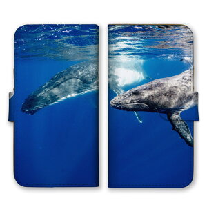 �_30%�I�t�����N�[�|���z�z�^ BASIO active3 KYG04 �P�[�X �J�o�[ �x�C�V�I �A�N�e�B�u3 �X�}�z�P�[�X �蒠�^�P�[�X �N�W�� ������ �C �ʐ^ ���� ������� �C ���������� �J�b�R�C�C �����Y �j�� �v