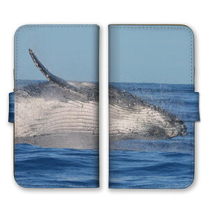 _30%OFFN[|zz^ Google PixelP[X O[OsNZP[X Google Pixel10Pro XL Google Pixel10Pro 9a 9Pro XL 8a O[OsNZ10 X}zP[X 蒠^ X}zJo[ NW  C ʐ^  