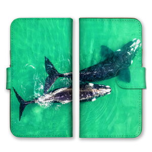 BASIO active3 KYG04 �P�[�X �J�o�[ �x�C�V�I �A�N�e�B�u3 �X�}�z�P�[�X �蒠�^�P�[�X �N�W�� ������ �C �ʐ^ ���� ������� �C ���������� �J�b�R�C�C �����Y �j�� �v�`�v�� �X�}�z�J�o�[ �g�уP�[