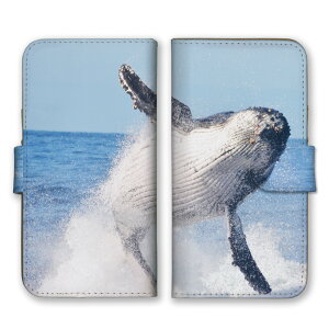 �_30%�I�t�����N�[�|���z�z�^ Redmi 12 5G Redmi12 5G �P�[�X �J�o�[ ���b�h�~�[ 12 5G �X�}�z�P�[�X �蒠�^�P�[�X �N�W�� ������ �C �ʐ^ ���� ������� �C ���������� �J�b�R�C�C �����Y �j�� �v�`�v