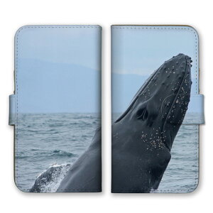 Redmi 12 5G Redmi12 5G �P�[�X �J�o�[ ���b�h�~�[ 12 5G �X�}�z�P�[�X �蒠�^�P�[�X �N�W�� ������ �C �ʐ^ ���� ������� �C ���������� �J�b�R�C�C �����Y �j�� �v�`�v�� �X�}�z�J�o�[ �g�уP�[�X 