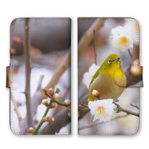 30%N[|ubNtCf[ iPhone14 P[X ACtH14 Jo[ X}zP[X 蒠^P[X W ߂ t   ڔ  i 쒹 ʐ^ { Y LC ꂢ 킢 