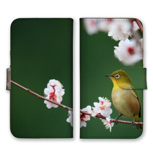 iPhone12 Pro Max P[X ACtH12 v}bNX Jo[ X}zP[X 蒠^P[X W ߂ t   ڔ  i 쒹 ʐ^ { Y LC ꂢ 킢 蒠^Jo[ X}z