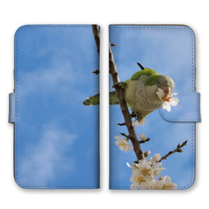 iPhone 17 Pro ケース アイフォン17プロ iPhone17Pro カバー Apple アップル スマホケース 手帳型ケース インコ セキセイインコ コザクラインコ 小鳥 写真 桜 花 かわいい 可愛い 綺麗 キレイ きれい 手