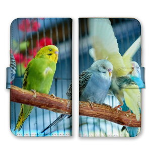 _30%OFFzz^ AQUOS R3 SH-04L SHV44 808SH P[X ANIXR3 Jo[ X}zP[X 蒠^P[X CR ZLZCCR RUNCR  ʐ^   킢  Y LC ꂢ 蒠