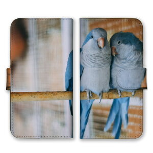 _30%OFFzz^ Google Pixel 7a P[X O[OsNZ7a Jo[ X}zP[X 蒠^P[X CR ZLZCCR RUNCR  ʐ^   킢  Y LC ꂢ 蒠