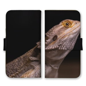 Galaxy A36 5G SC-54F P[X MNV[A36 Jo[ X}zP[X 蒠^P[X  ঒ IEJ~Jh O[COAi gJQ JG E[p[[p[ ʐ^ 蒠^Jo[ X}