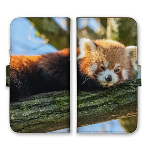 Galaxy A55 5G SC-53E P[X MNV[ A55 Jo[ X}zP[X 蒠^P[X bT[p_  Aj}  킢 R tTtT ӂ ʐ^  蒠^Jo[ X}zJo[ 